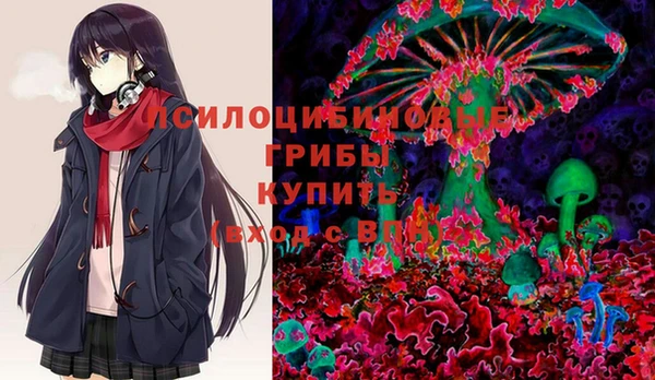 мдма Дмитриев