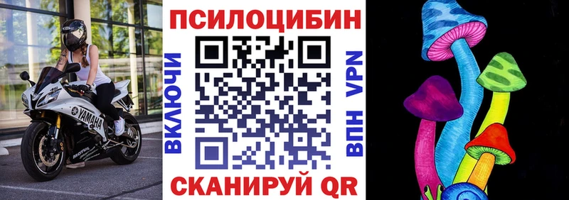 Галлюциногенные грибы Psilocybe  Купить закладки  Маркс 